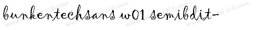 bunkentechsans w01 semibdit字体转换